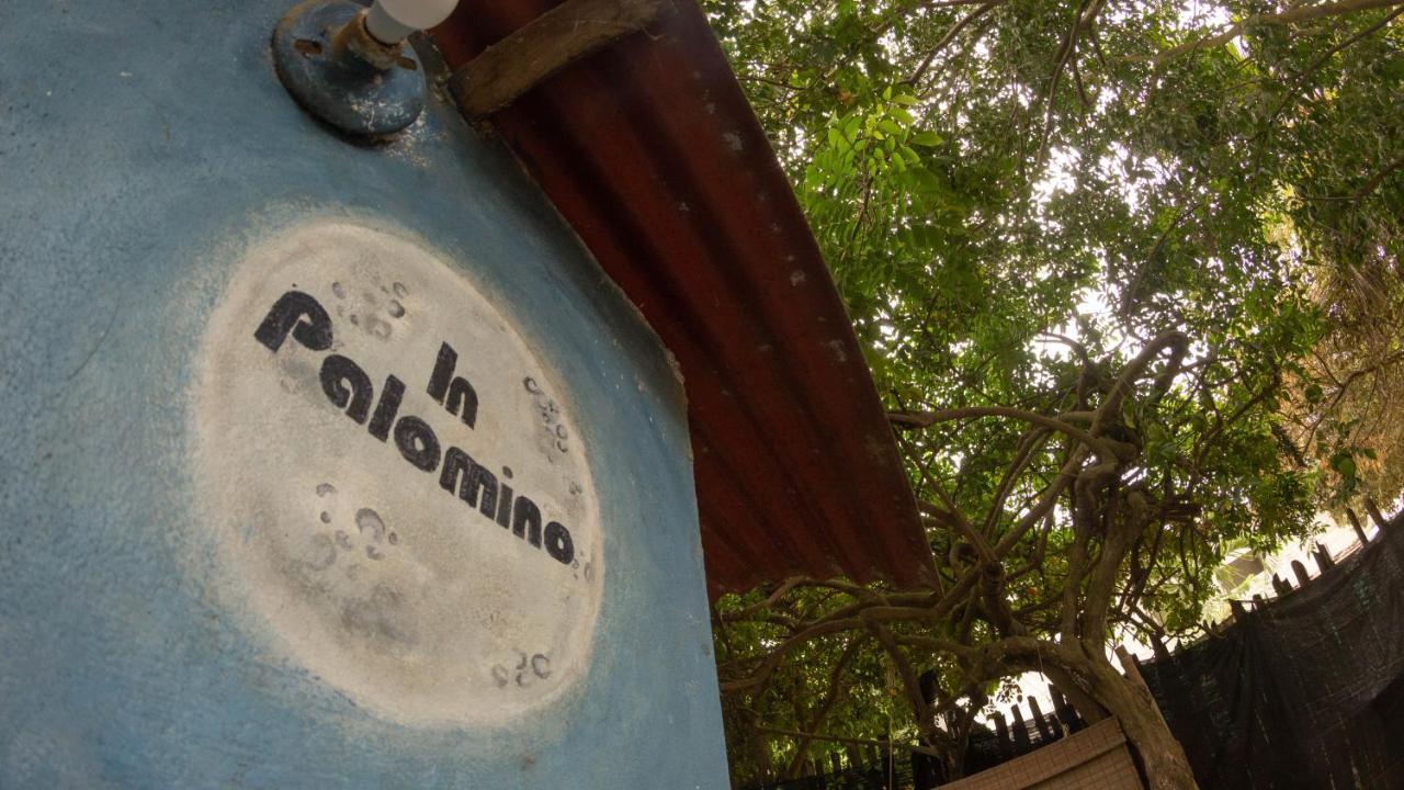 Hostel In Palomino Εξωτερικό φωτογραφία